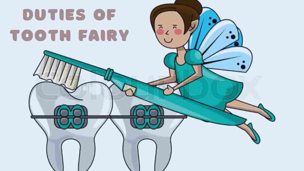 duties of tooth fairy 