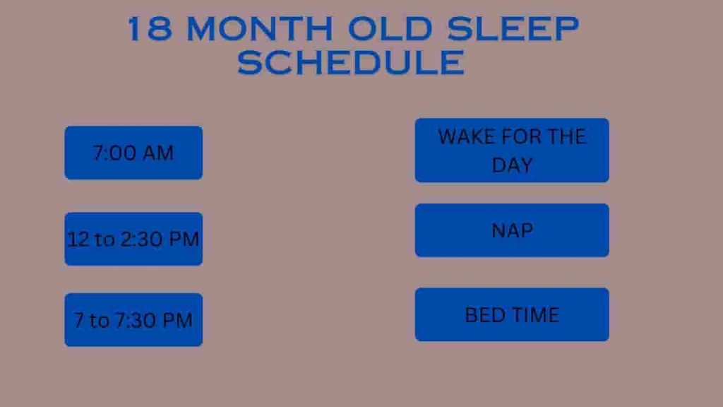 18 Month Old Sleep Schedule