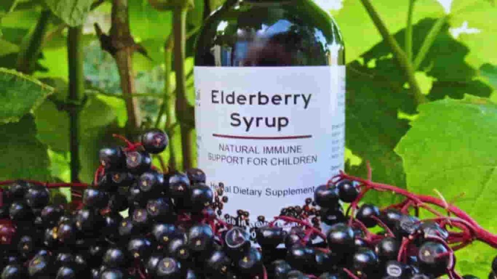 elderberry syrup for babies 